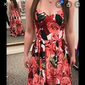 David’s Bridal prom dress.